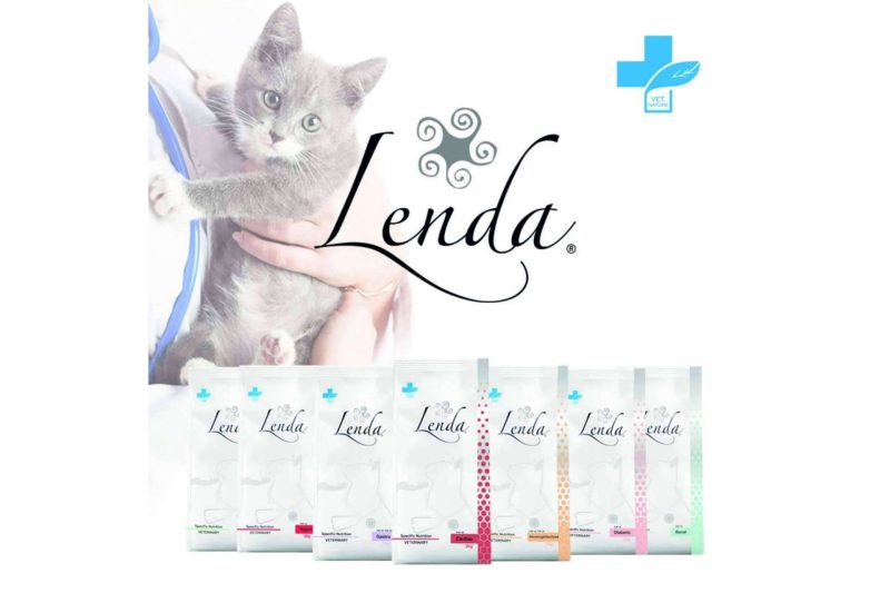 Img F8928621dc1798e6ac37fa47b4ce04f