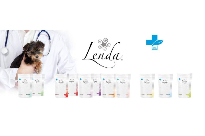 Img 89e3a8927ea5e81280c5cb1e82df19b