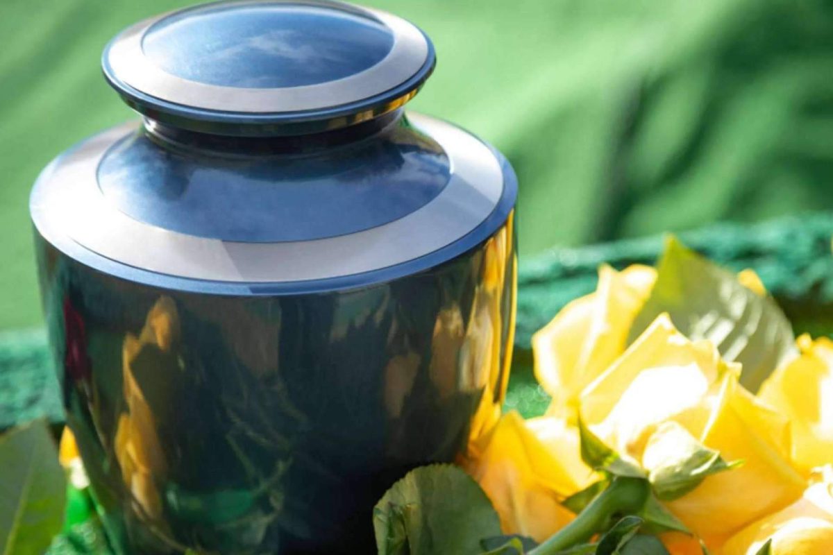 Img 1fe28155d0c1ec99f063a9242537f