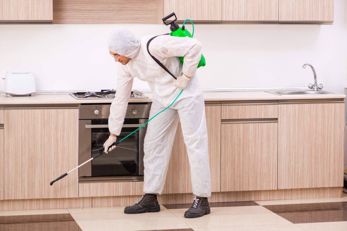 Img 0a231eed24f247c2c874c12c3f513ced