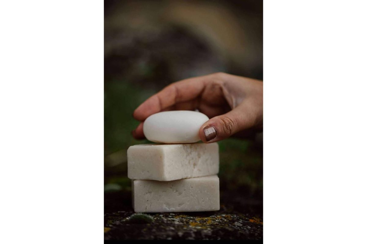 Img 7e248450af43c130bbe9eb0cdb3f20e