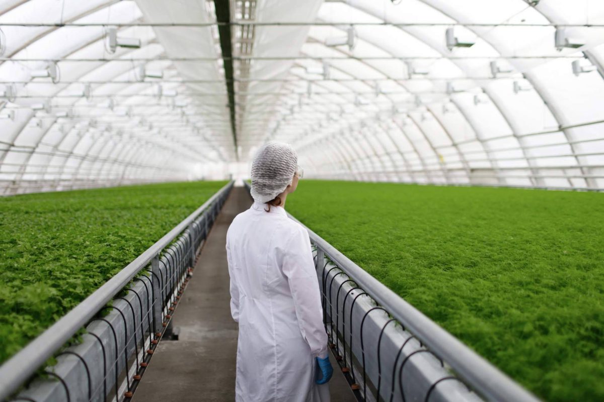 Img 201667ff29e35b103438365bba8bf