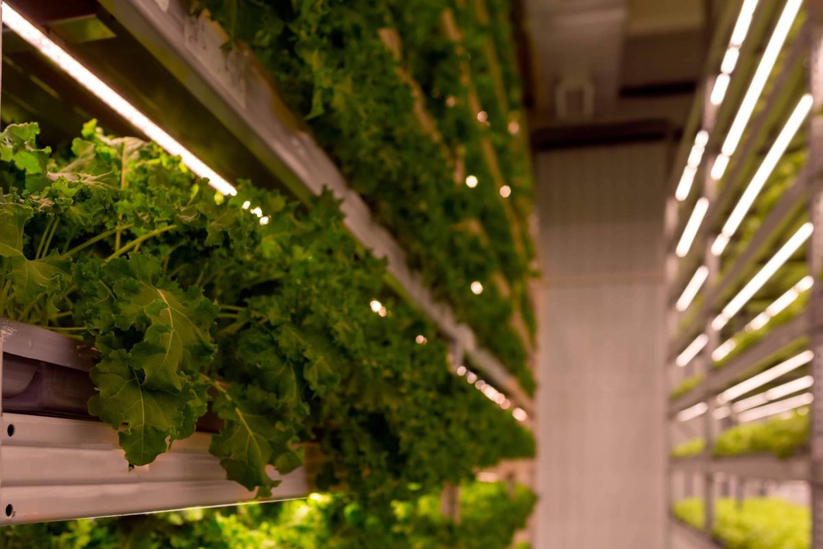 Img Dcb26b2b64a413cb3b142f136b05354d