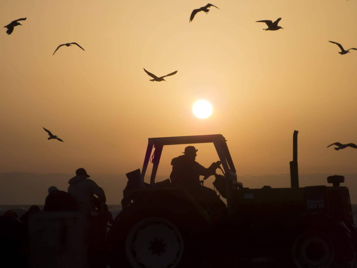 Img 8e1517728449f245c9a88fdaa5a1c35e