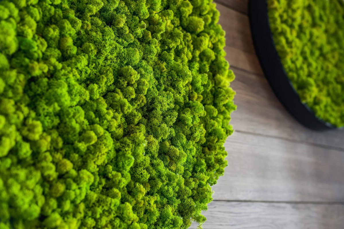 Img A5d99580d441f0ee2ed1c5ed938cbfc