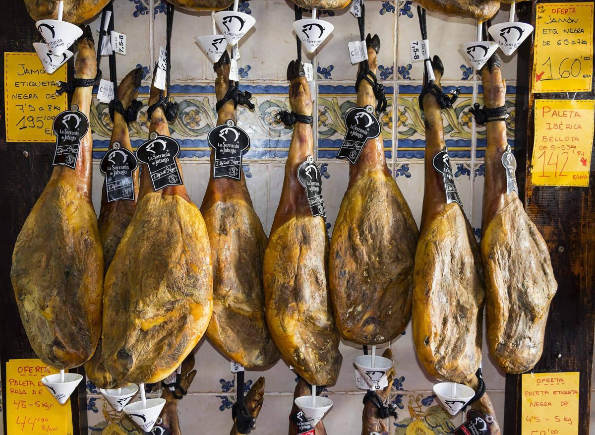 Img 762a3619981e5a55a64ae6f525fa33d