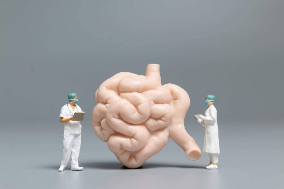 Img A49ab08f08aefa64481ead3adb