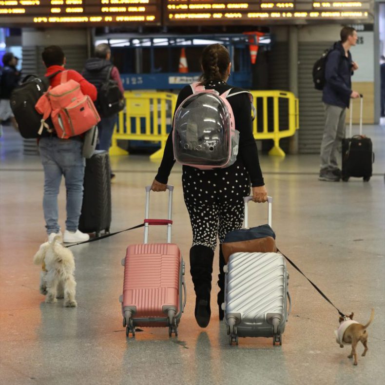Europapress 4775427 Mujer Dos Maletas Dos Perros Estacion Puerta Atocha 28 Octubre 2022 Madrid