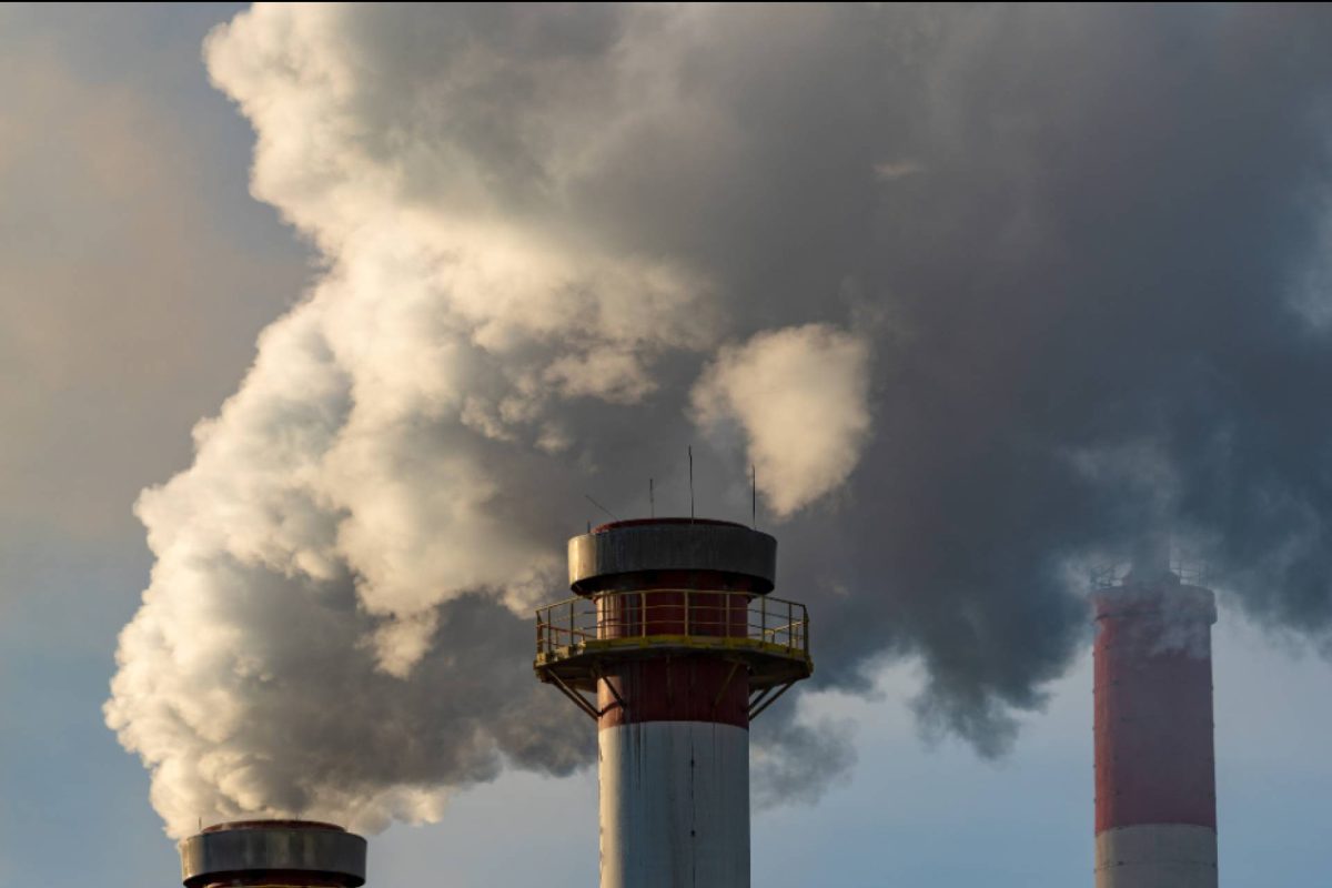 Img 202aa23e3bead3cbbdce7e5d453f