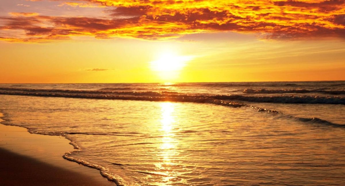 Img 164ca0e6c8aa01d267b1cbb07890705c