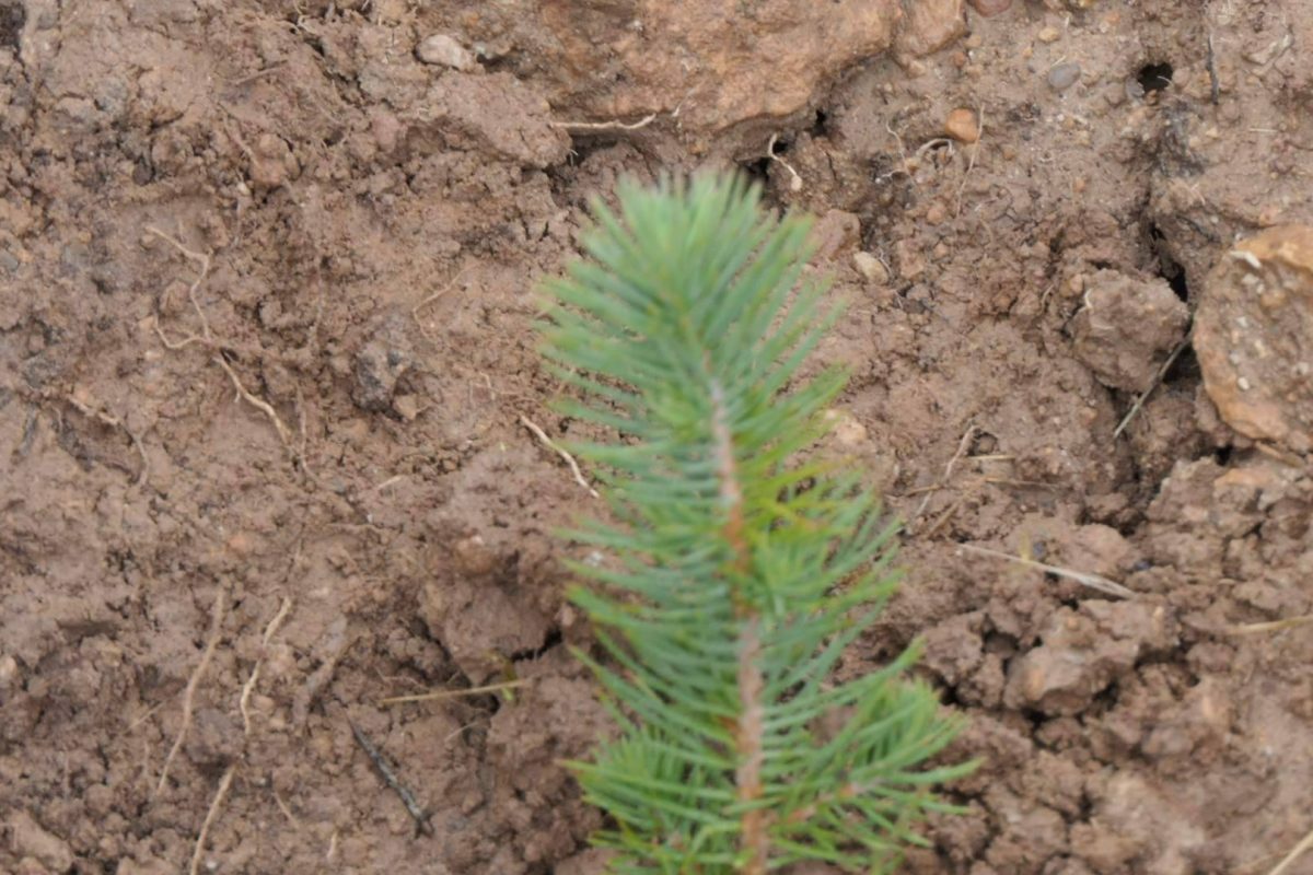 Img 36a9d183c5bdc77eba6d548e637db6c