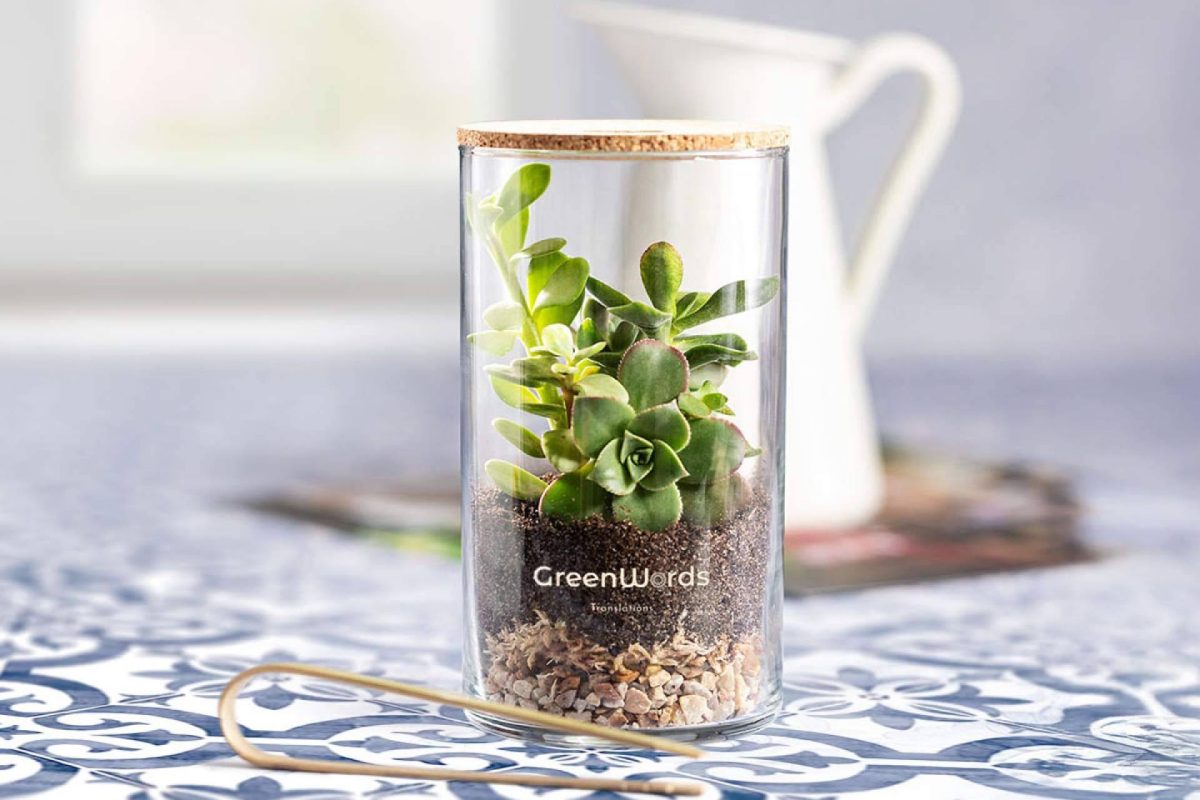 Img 4bf36bae57647f4edc93ff253e7d