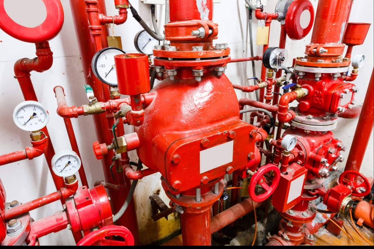 Img 58bd9eab799ae907a236220535a8d7e