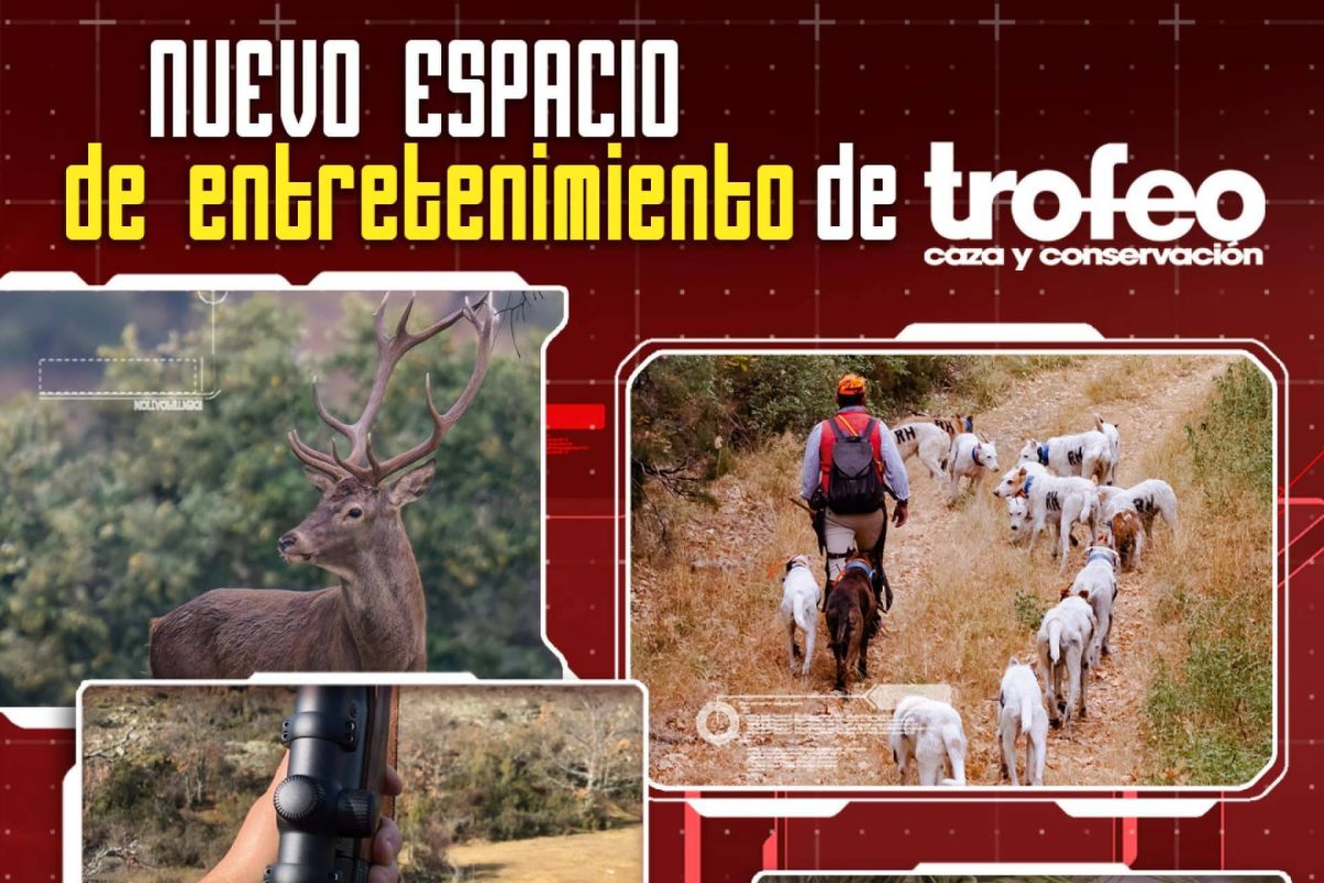 Img 5fb36365f9b700c89fda03dae5cd