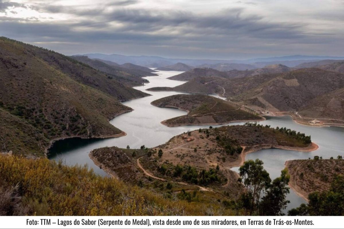 Img 75cf7aba1c9a96b2e98cc9f95a7b3c