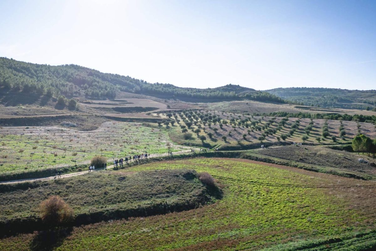 Img 814533dc63ffba1383b607e7b5d7a