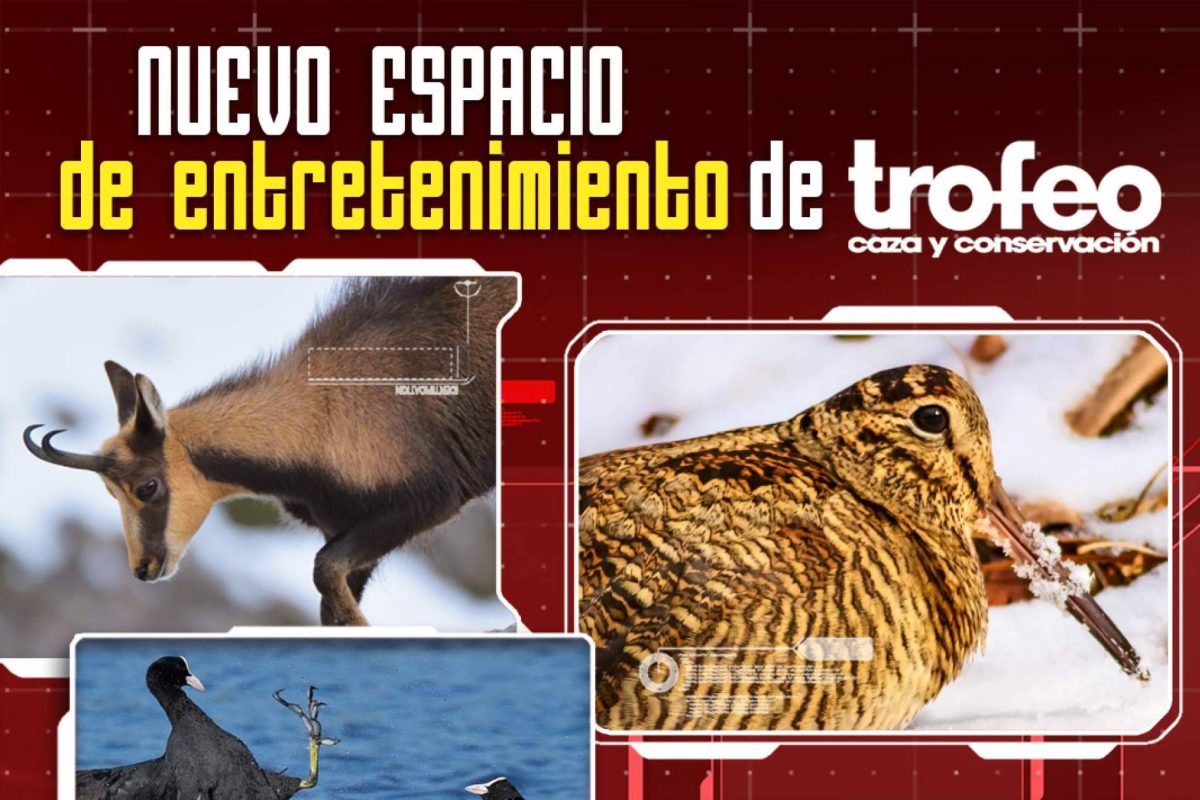 Img Db3afaacaf6b344519b7f6c390f833c