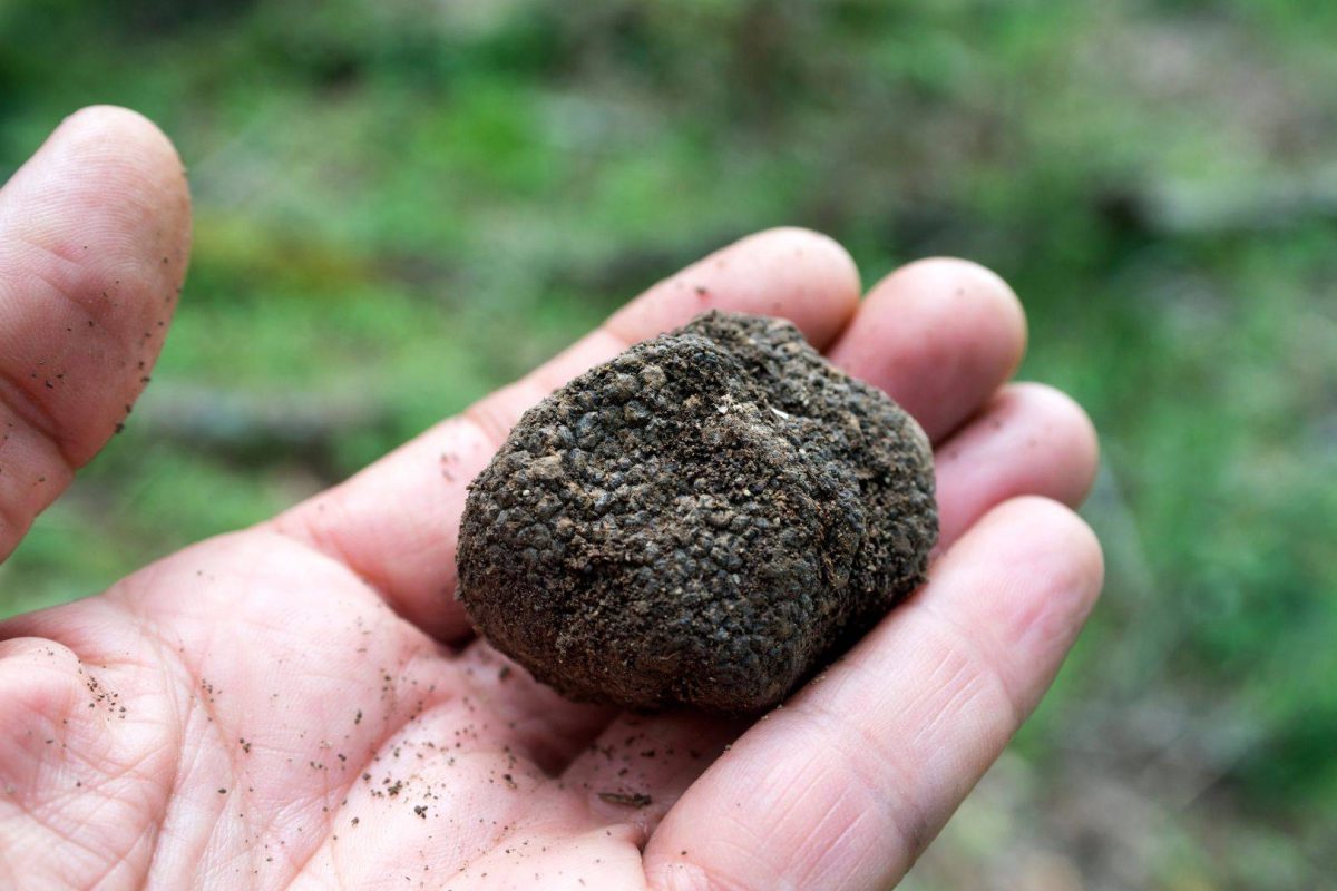 Img 4be58a4d59377a67ef5e319bdd1b