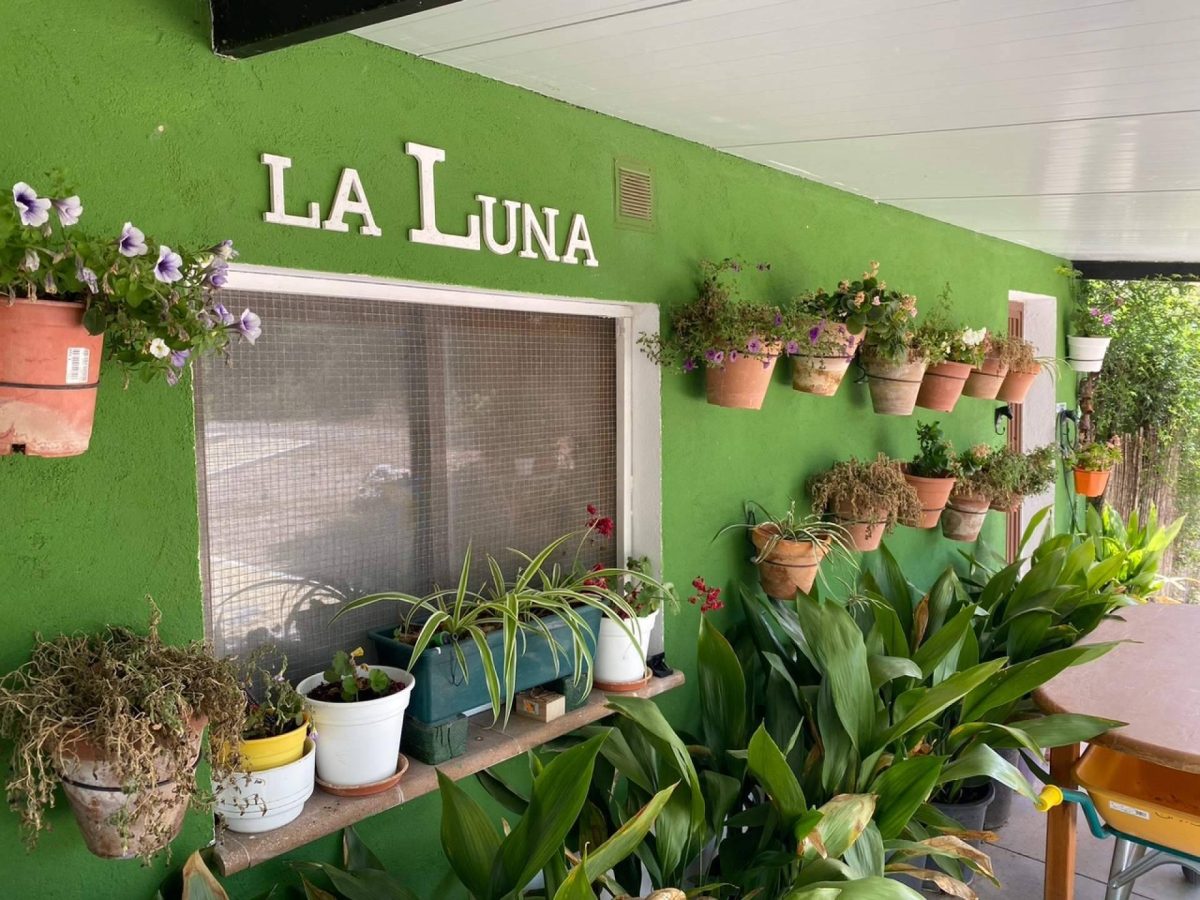 Img 632960e82a7fa8da950d8878917f23ca