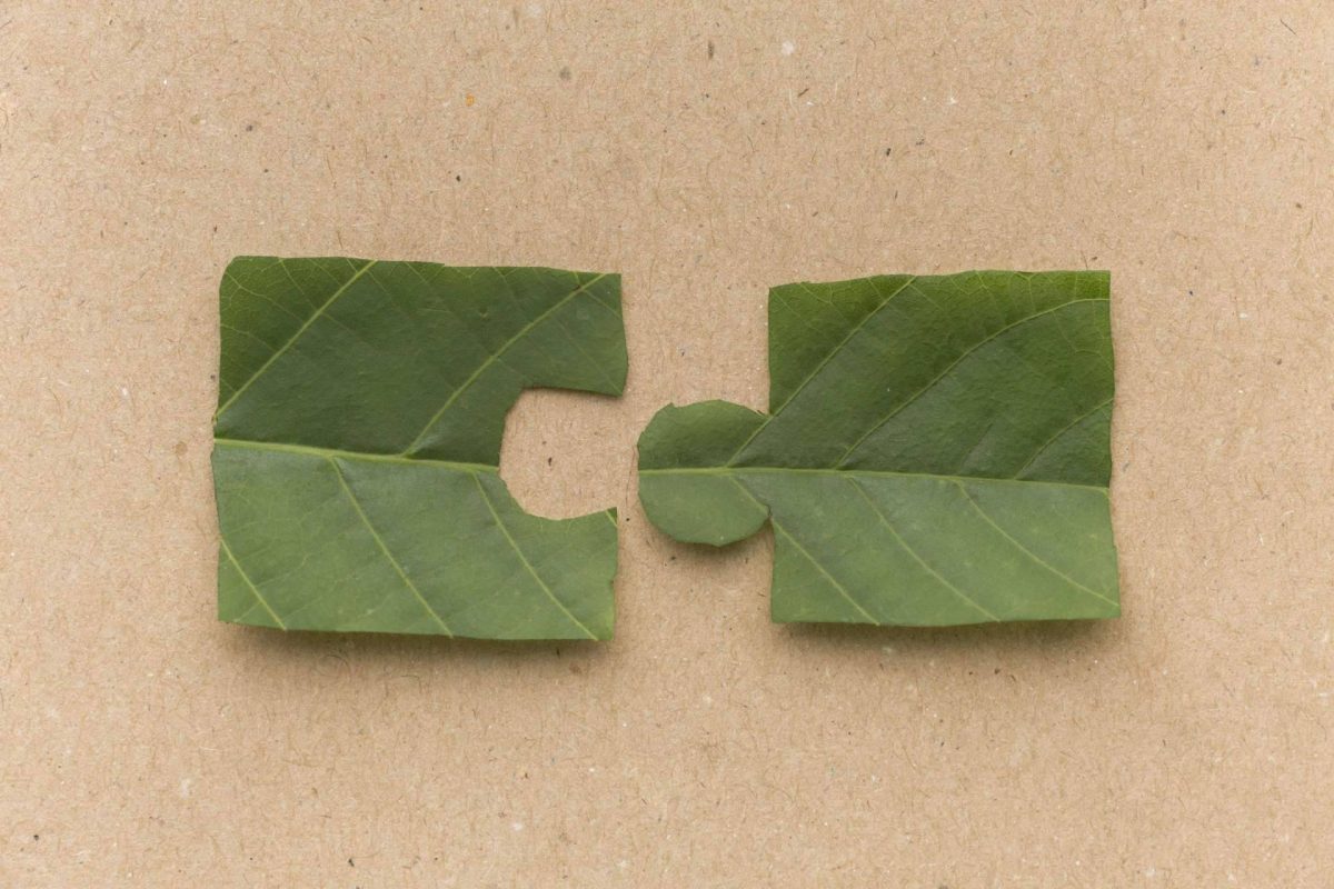 Img 684d466919c8d386b8ce40fe44a2e