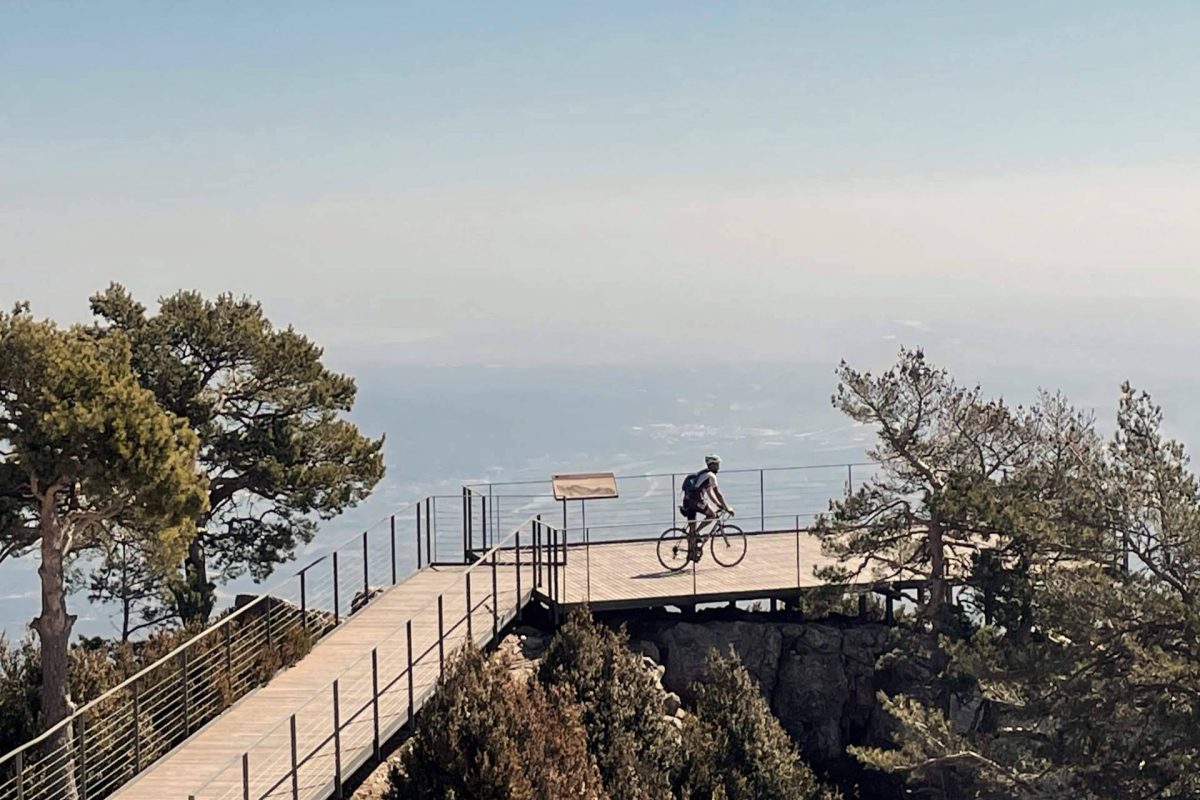 Img 8991dc64db188bbd41375a57f9f