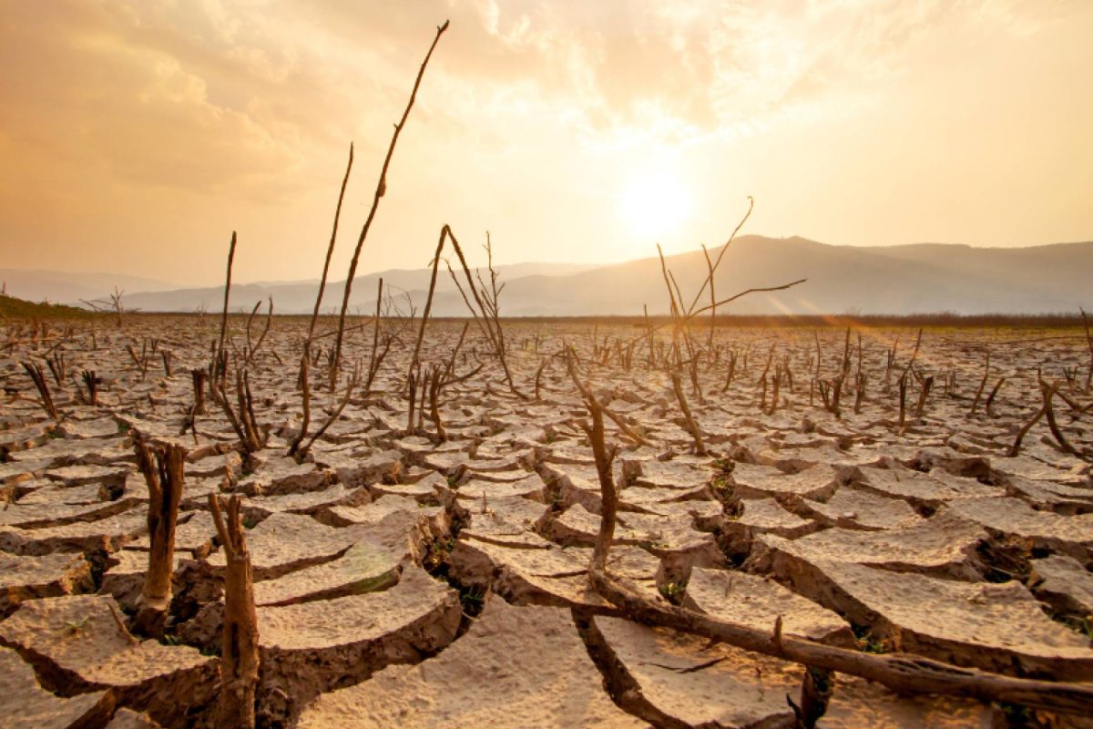 Img 92ee7ab5927ae3369907da06dfb66a