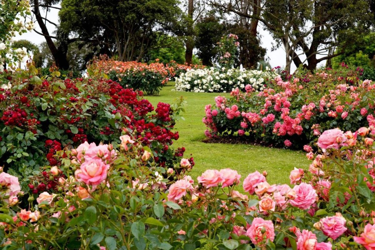 Img B28ce98c8066171a6d133fa0dfb51f