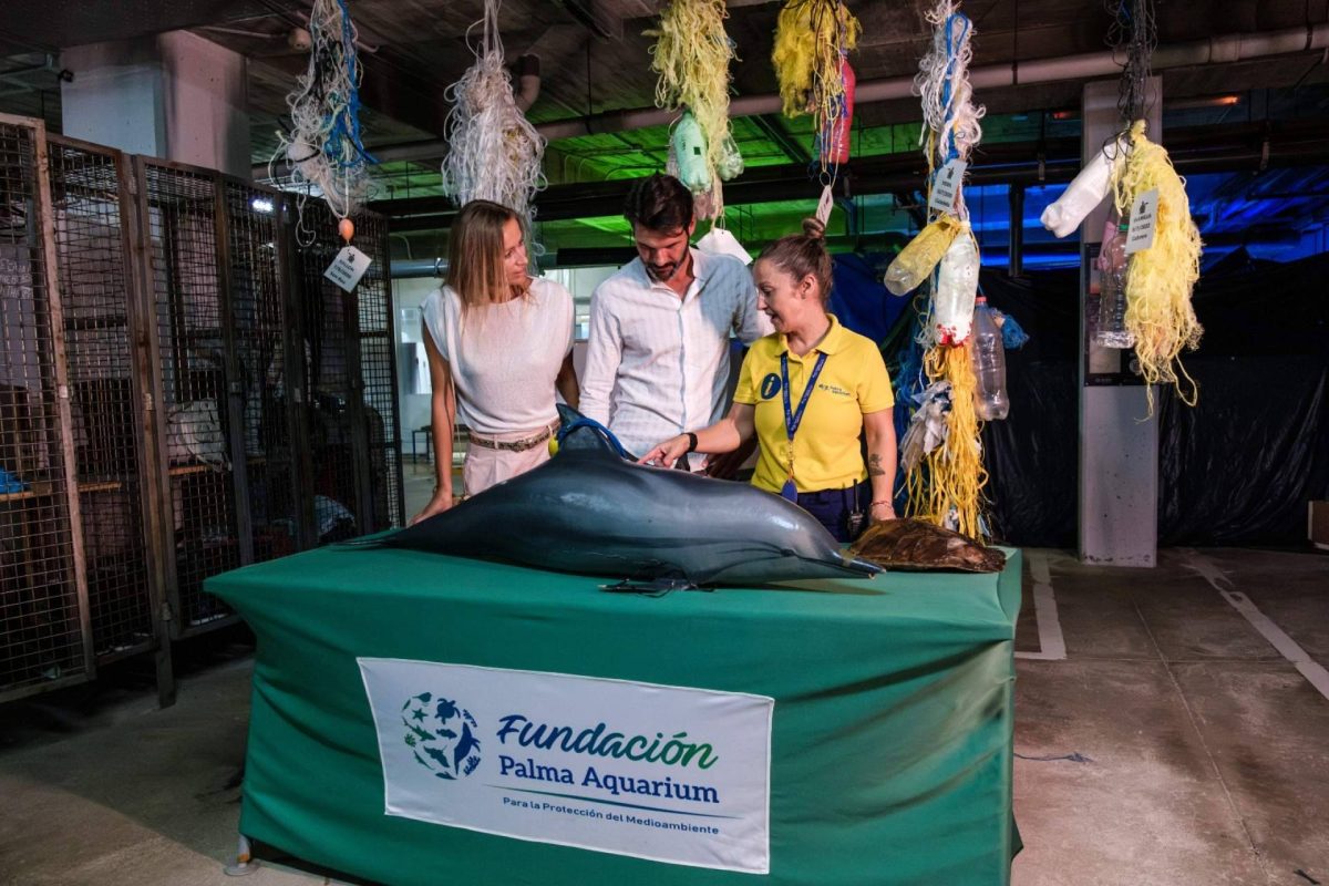 Img C0330315c4bf5903f295900b811ceece