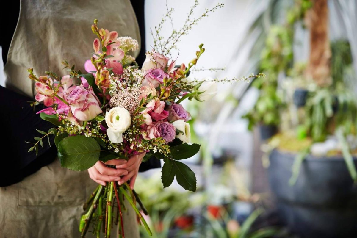 Img Db9e37e08590a26acb0a00cad000fdf