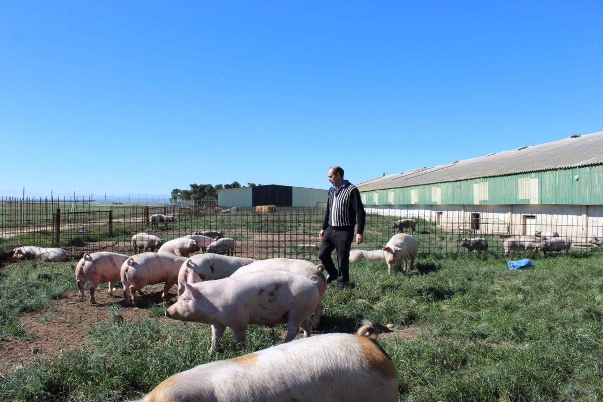 Img Dc030a68342a3df39a8bfb63347b56a