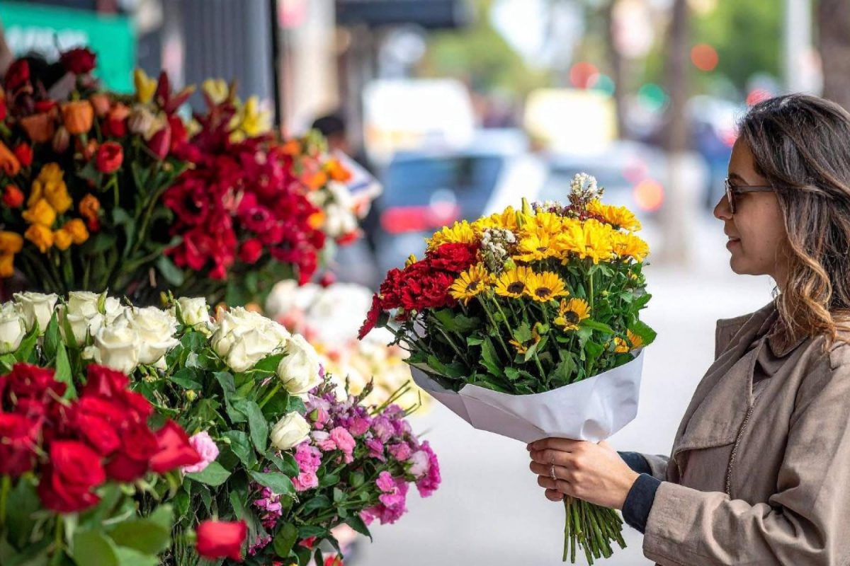 Img E7eacf39ee0297767a3493430b1c487a