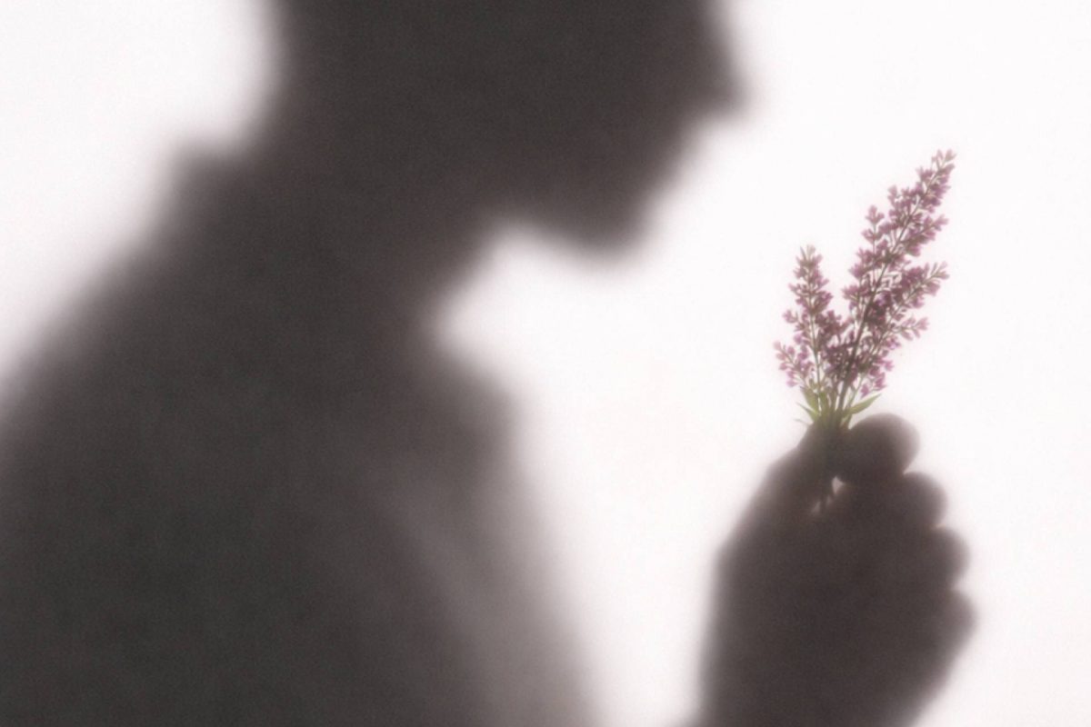 Img Fdd0251cd94adbdf606df7d9771c60b