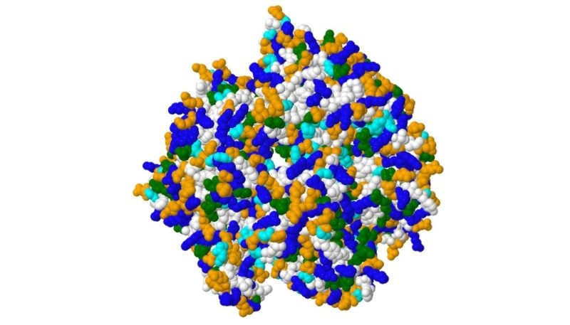 Proteina Imagen Mosaic Q