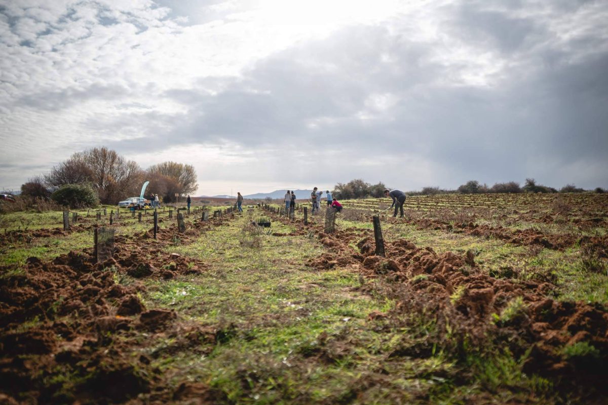 Img 05d30c4e6078bdd8a429ece246e05c4e