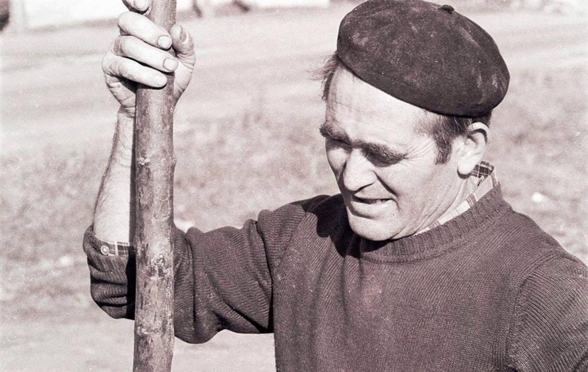 Img 0e115aec46ca8678487e4a40191ed