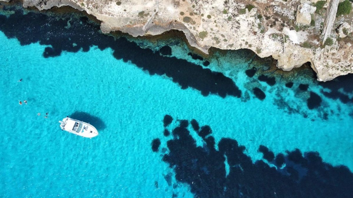 Img 2031f67ef7b1aed458357569f913ebb