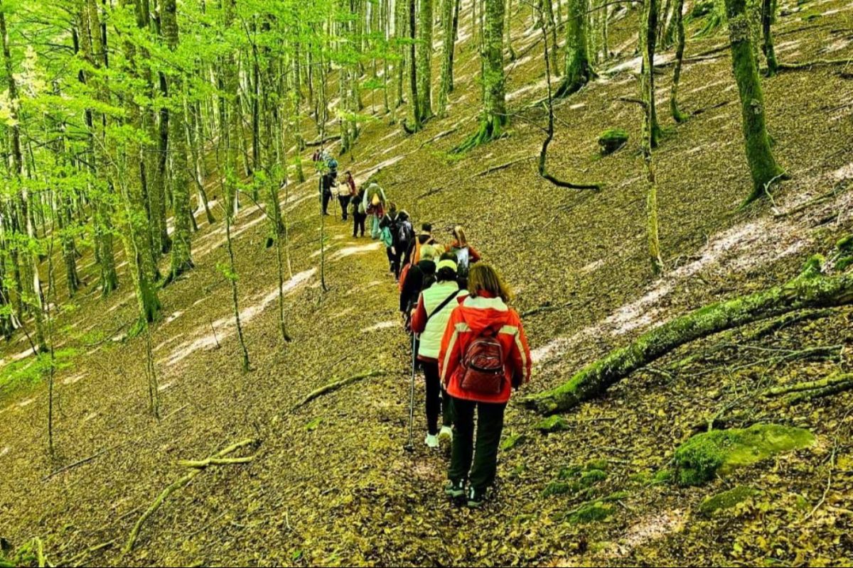 Img 21298ed048b4563e31422675dceb39b