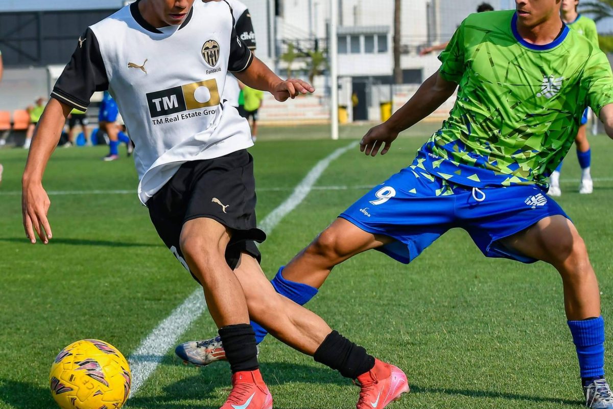 Img 2bfb59939ca219e67cec0369e0e