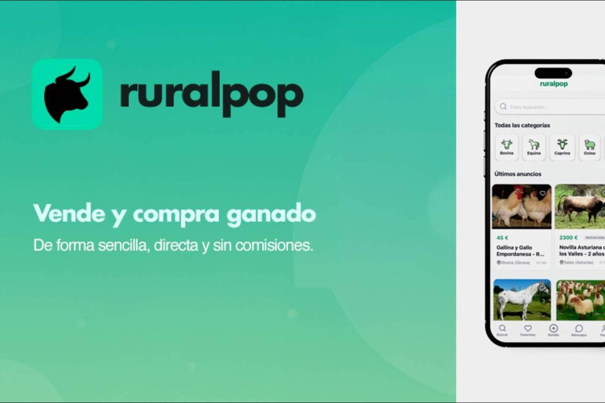 Img 33dd02deb76774536c2c2be40500d31e