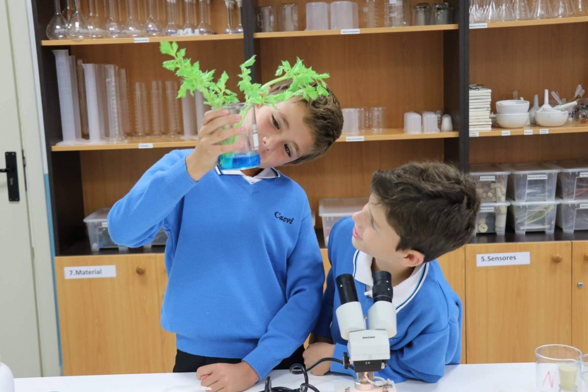 Img 3b2ea5b6ed0a150541e17bb7649596b