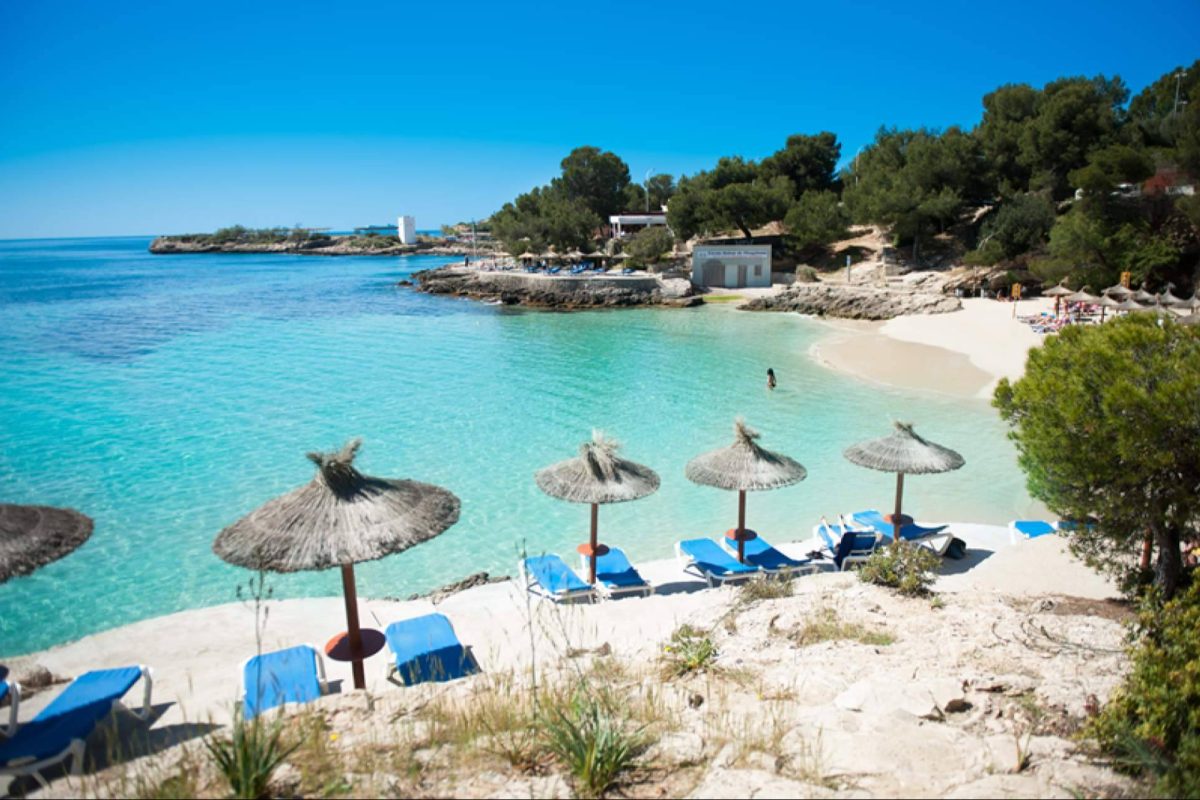 Img 8db562bf1bd2ef2df50126272c