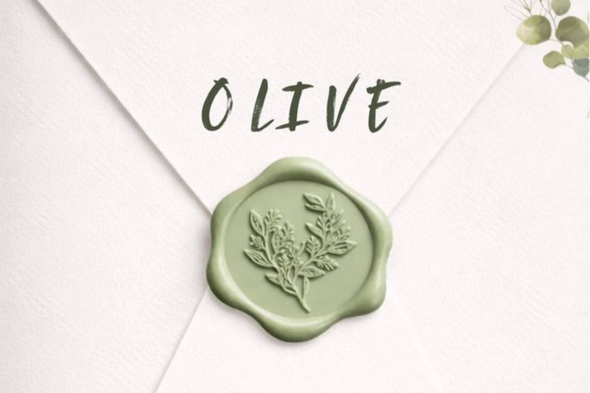 Img 8f48071fb74fa6d16c6647abb5fa4fd