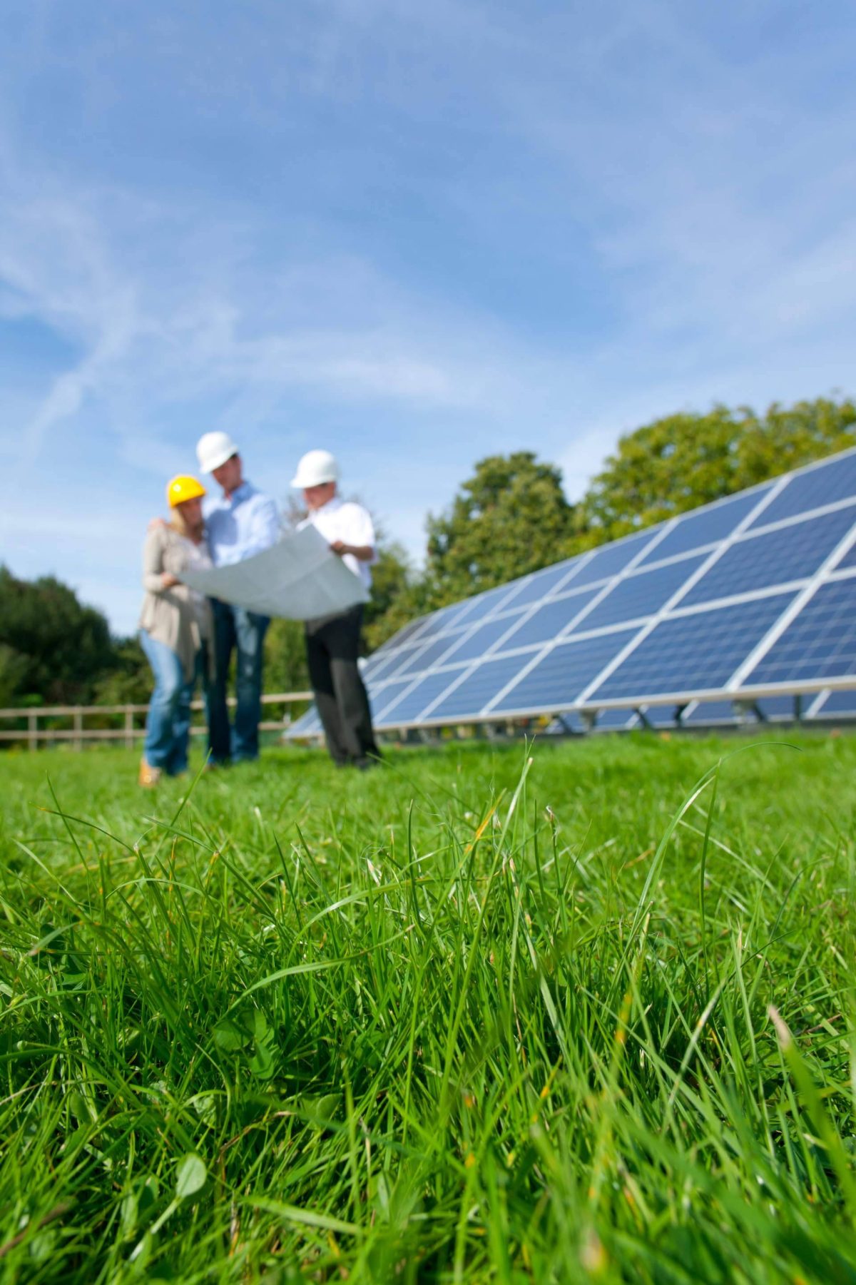 Img 9395acc3fc5f9efb6b7e18604b3e61fb