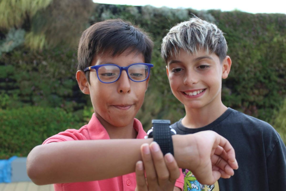 Img 950a9bc1baefb4a5729be4310af24b8d