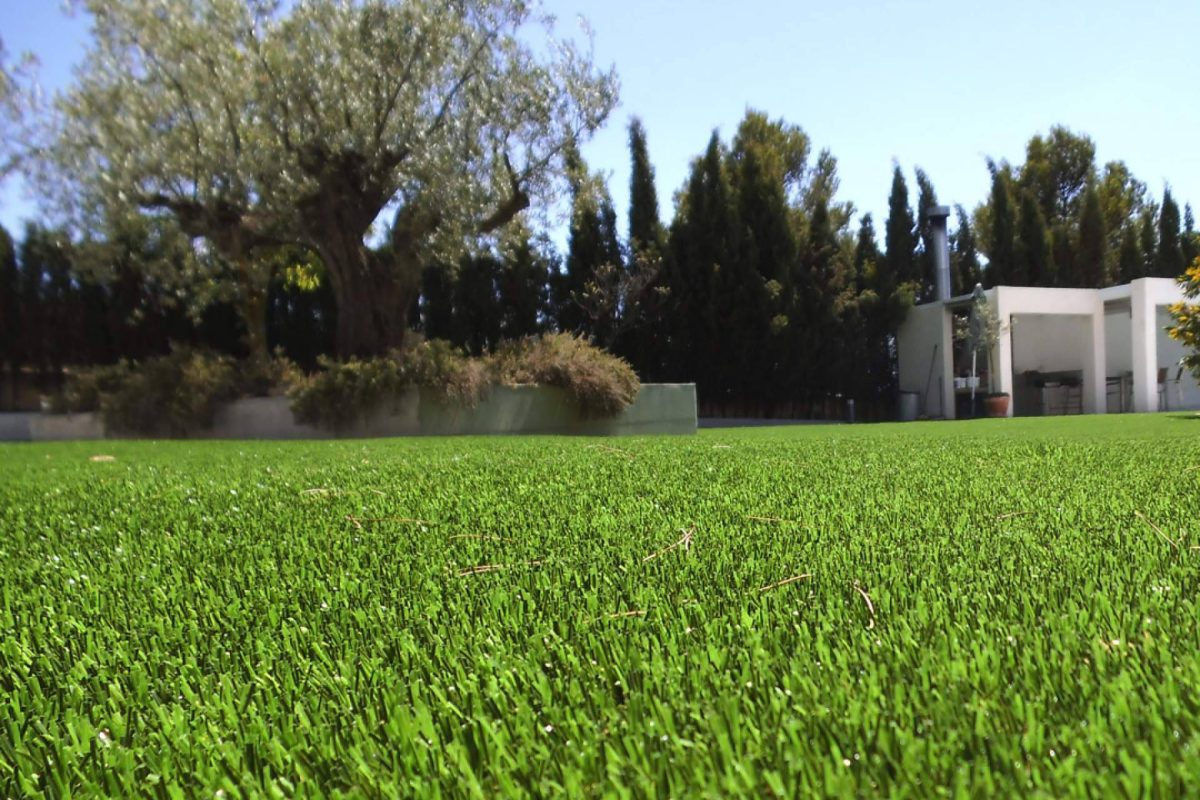 Img 9d2e4f97c1ff8f39c99ea6eb