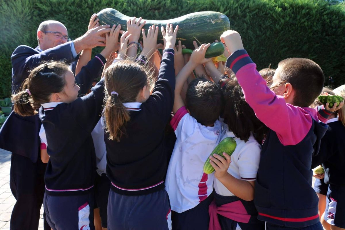 Img 9e45a290f9107f778a1749c97043f