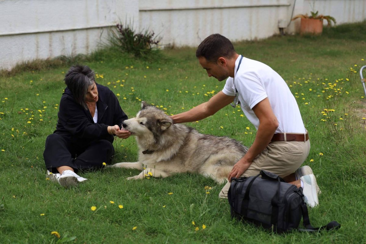 Img A54b635be0e65c29c321e94b954ee08f