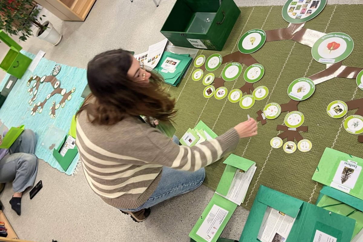 Img C10b6cfdb833dbd0f20ae97bdfd5dea