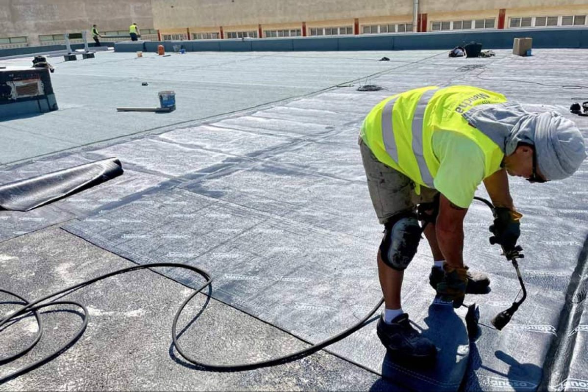 Img C14fb40e59970ba59af7ee9f8f7c2ae