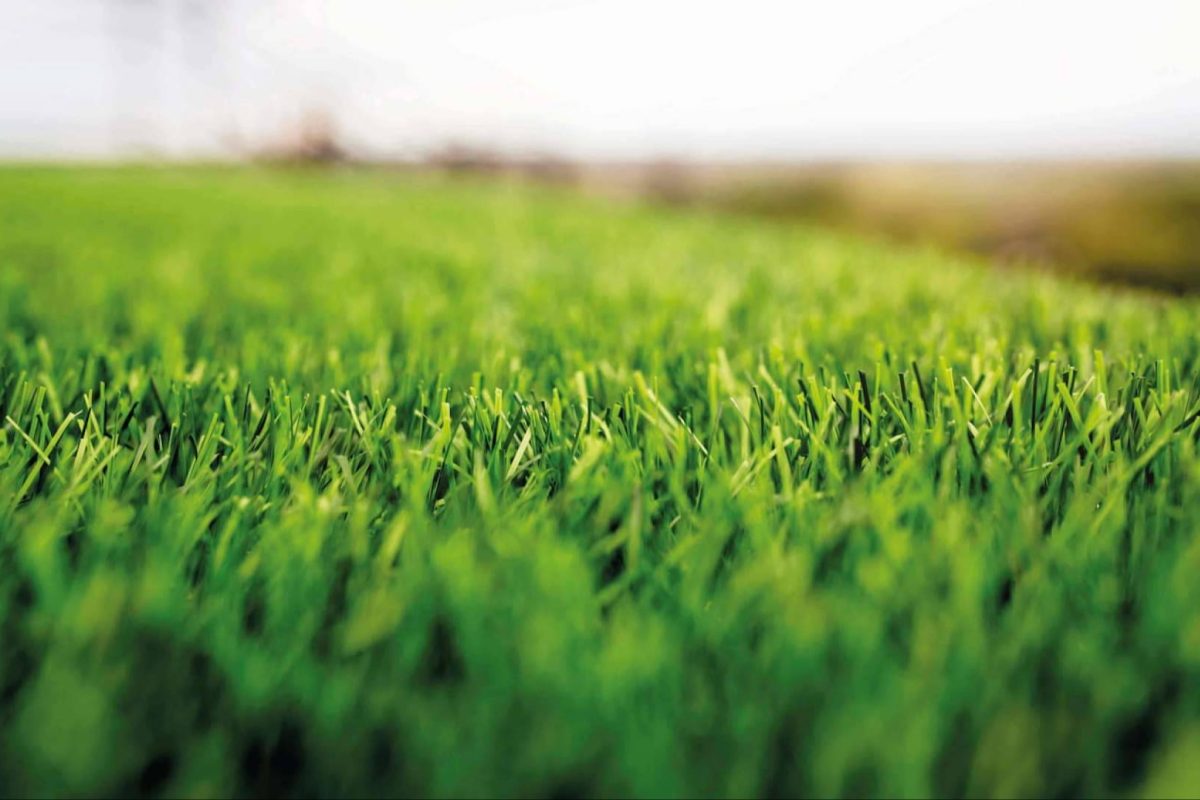 Img E48b5a5e7954698838421a3fa26db